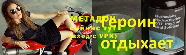 прущие грибы Тында