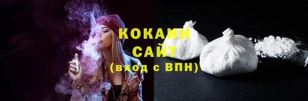 прущие грибы Тында