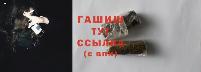 прущие грибы Тында