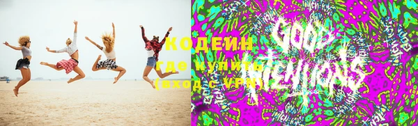 прущие грибы Тында