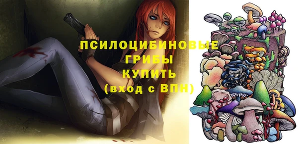 прущие грибы Тында