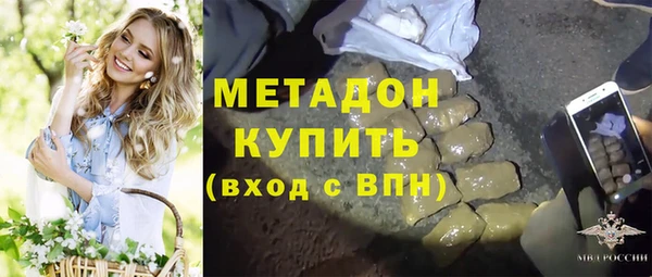 прущие грибы Тында