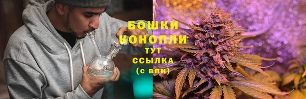 метадон Тутаев