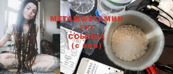 прущие грибы Тында