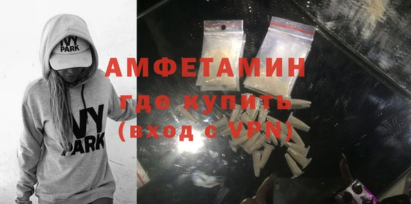 прущие грибы Тында