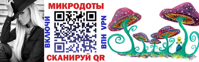 Псилоцибиновые грибы Psilocybine cubensis Чегем